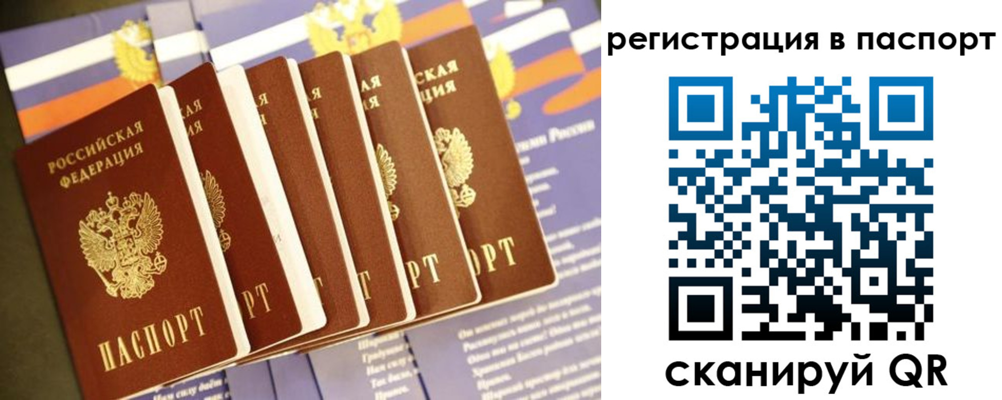 прописка ребенка в Шелехове